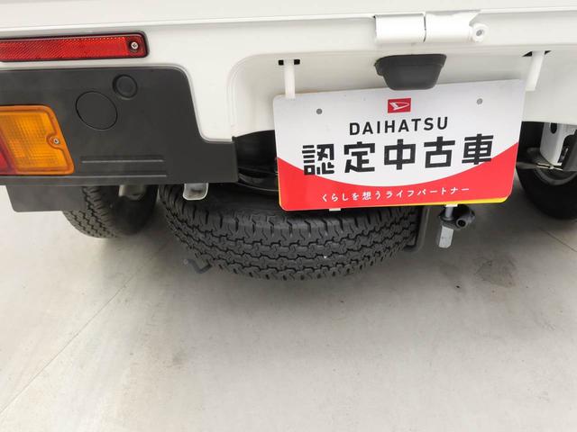 ハイゼットトラックスタンダード（愛知県）の中古車