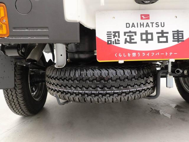 ハイゼットトラックスタンダード（愛知県）の中古車