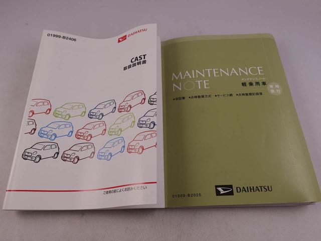 キャストスタイルＸ（愛知県）の中古車