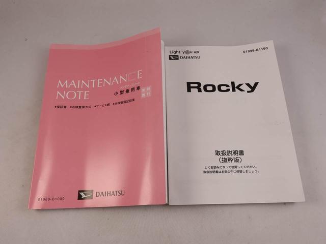 ロッキープレミアム（愛知県）の中古車