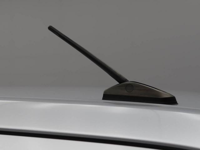 トールシートリフト　Ｇ（愛知県）の中古車