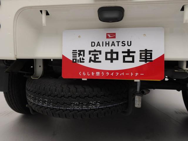 ハイゼットトラックスタンダード　ＭＴ車　ＡＭ／ＡＭ付（愛知県）の中古車