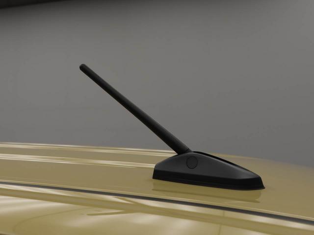 タントＸ（愛知県）の中古車