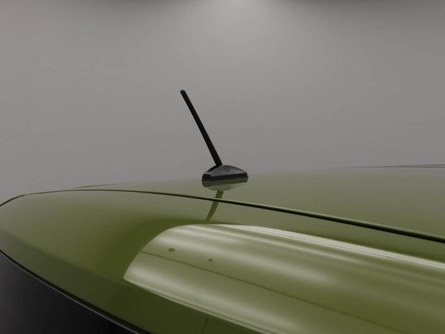 タフトＸキーフリー（愛知県）の中古車