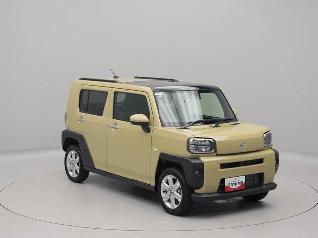 タフトＧ（愛知県）の中古車