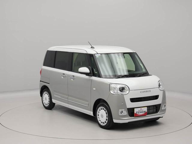 ムーヴキャンバスストライプスＧ（愛知県）の中古車