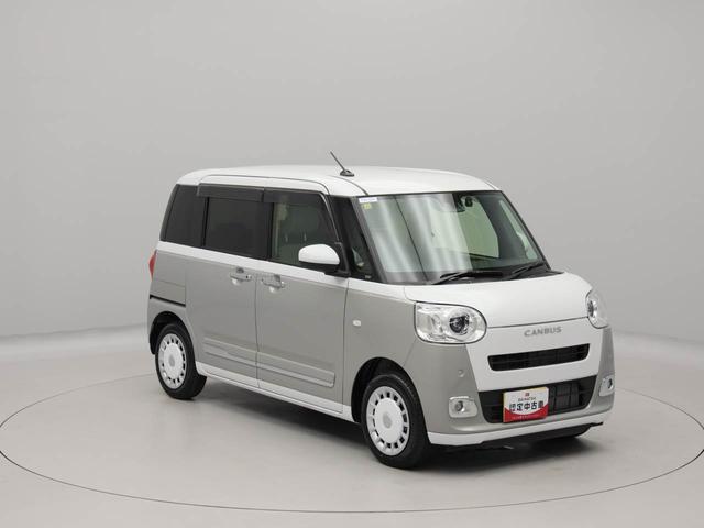 ムーヴキャンバスストライプスＧキーフリー（愛知県）の中古車
