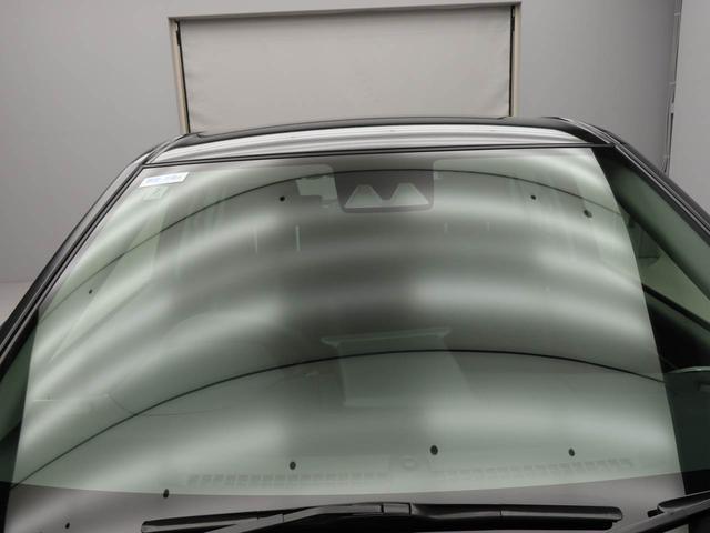 ロッキープレミアムG(愛知県)の中古車