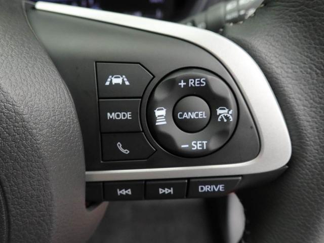 ロッキープレミアムG(愛知県)の中古車