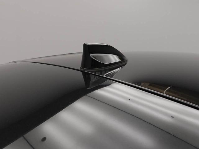 ロッキープレミアムG(愛知県)の中古車