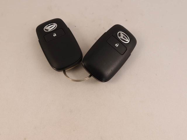 タフトＸキーフリー（愛知県）の中古車
