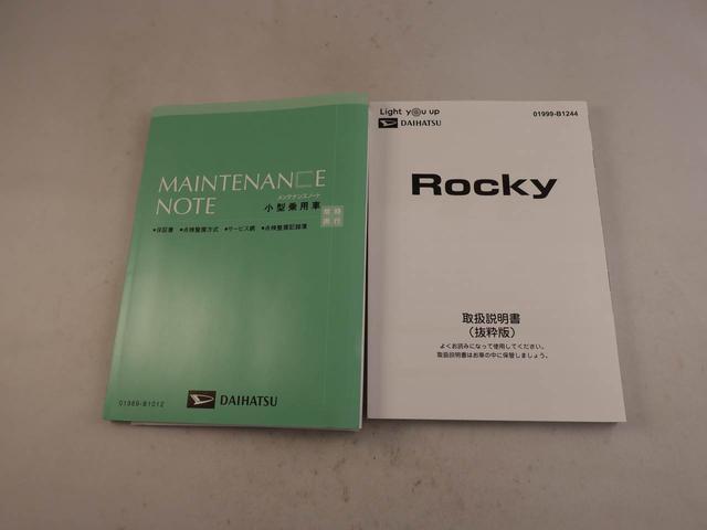 ロッキープレミアムＧキーフリー（愛知県）の中古車