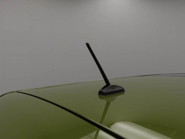 タフトＸ（愛知県）の中古車