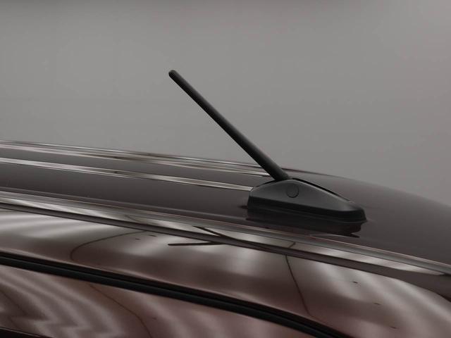 タントＸワンオーナー衝突回避支援ブレーキ　車線逸脱警報　バックカメラ　両側電動スライドドア　キーフリー　プッシュスタート　ＬＥＤヘッドランプ　アイドリングストップ　エアバック　ＡＢＳ　ＣＶＴ　イモビライザー（愛知県）の中古車