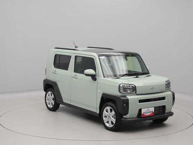 タフトＧ（愛知県）の中古車