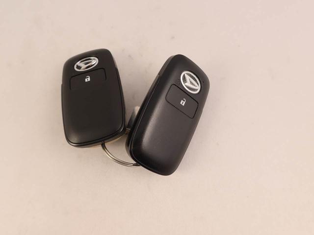 タフトＸ（愛知県）の中古車