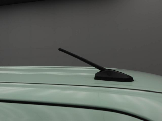 タントＸキーフリー　両側スライドドア（愛知県）の中古車