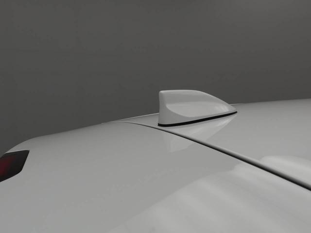 ロッキーXキーフリーシステム LEDヘッドライト スモークガラス ETC メモリーナビゲーション(愛知県)の中古車