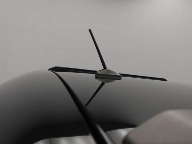 タフトG クロムベンチャー(愛知県)の中古車