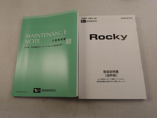 ロッキープレミアムG(愛知県)の中古車