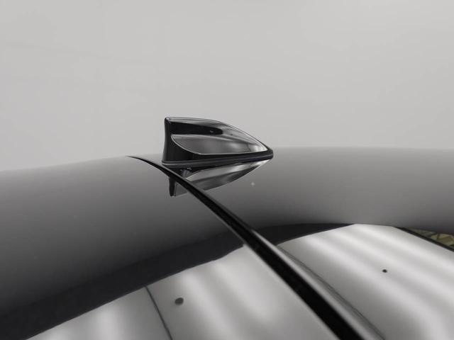 ロッキープレミアムG(愛知県)の中古車