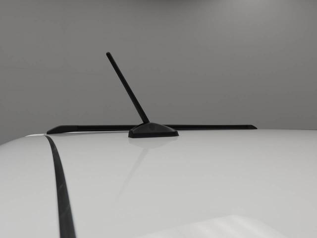 タフトＧ　ダーククロムベンチャー（愛知県）の中古車