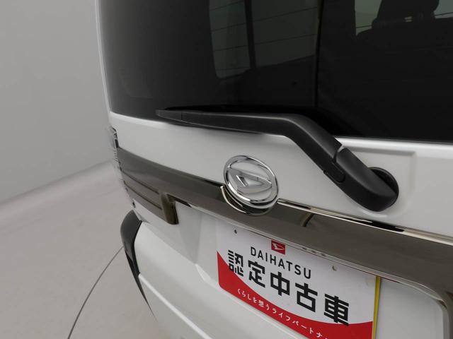 タフトＧ　ダーククロムベンチャー（愛知県）の中古車