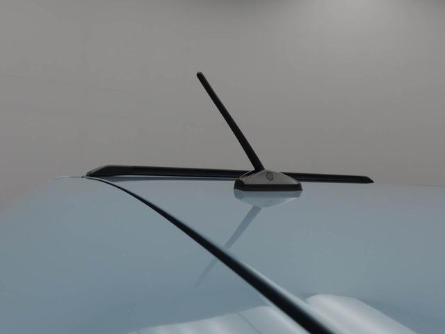 タフトＧ　クロムベンチャー（愛知県）の中古車