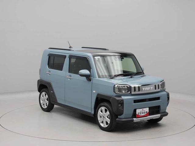 タフトＧ　クロムベンチャー（愛知県）の中古車