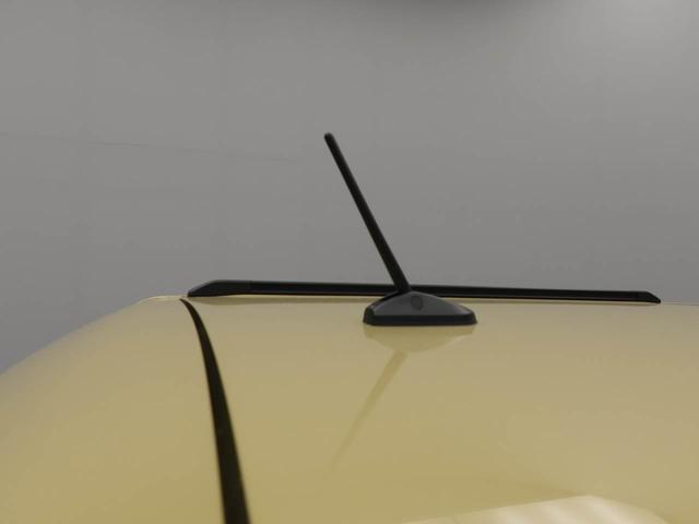 タフトＧ　ダーククロムベンチャー（愛知県）の中古車