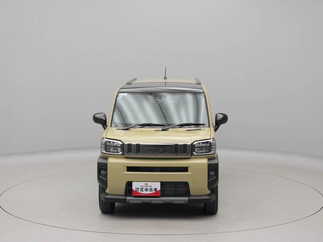 タフトＧ　ダーククロムベンチャー（愛知県）の中古車