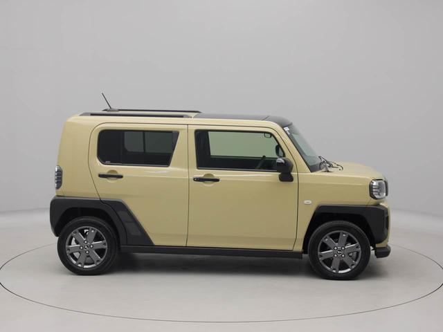 タフトＧ　ダーククロムベンチャー（愛知県）の中古車