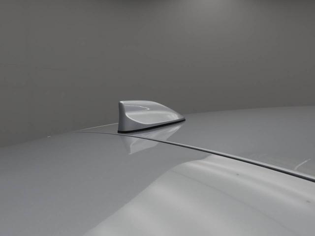 ロッキーＸ（愛知県）の中古車