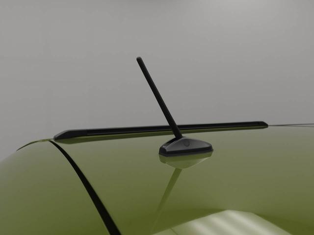 タフトＧオーディオレス　バックカメラ　電子パーキング　ＬＥＤヘッドライト　キーフリー（愛知県）の中古車