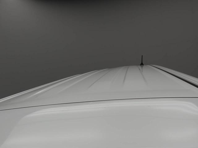 タントカスタムＸ（愛知県）の中古車