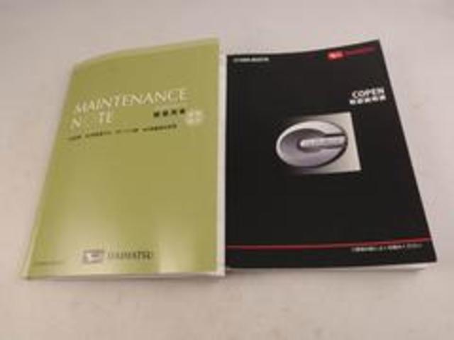 コペンローブ（愛知県）の中古車