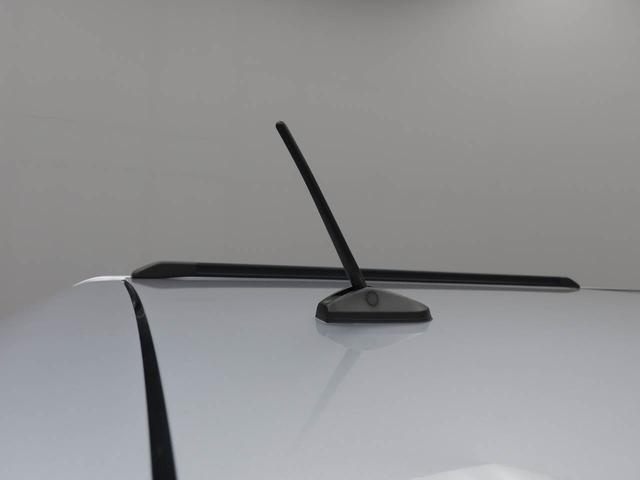 タフトＧ　ナビ　ＥＴＣ　バックカメラナビ　ＥＴＣ　バックカメラ（愛知県）の中古車