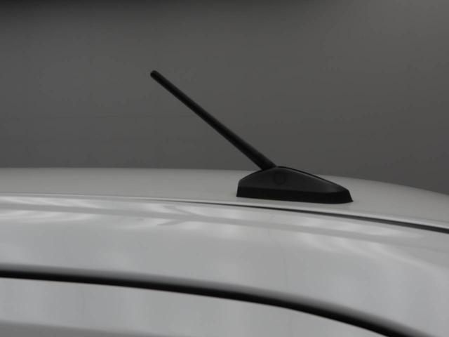 ムーヴキャンバスストライプスＧ（愛知県）の中古車