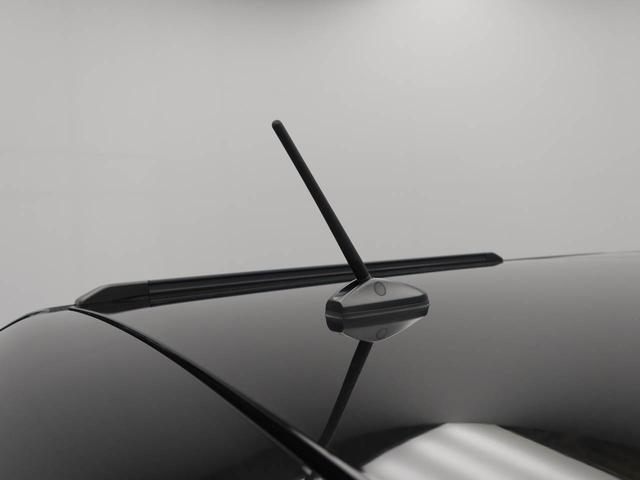 タフトＧ衝突被害軽減ブレーキ　電動パーキングブレーキ　スカイフィールトップ　メモリーナビ　ＬＥＤヘッドライト・フォグランプ（愛知県）の中古車