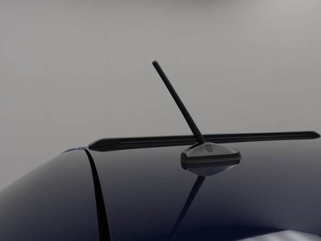 タフトＧオーディオレス　バックカメラ　電子パーキング　ＬＥＤヘッドライト　キーフリー（愛知県）の中古車