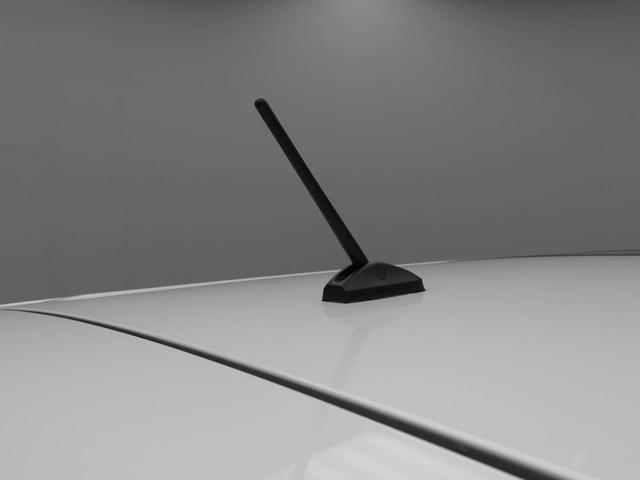 タフトＸエアコン　パワステ　パワーウィンドウ　ＡＢＳ　エアバック　サンルーフ　キーフリー（愛知県）の中古車