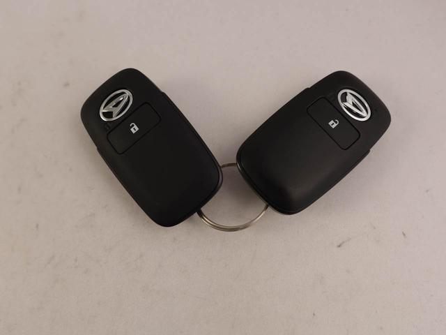 タフトＸ衝突被害軽減ブレーキ　電動パーキングブレーキ　スカイフィールトップ（愛知県）の中古車