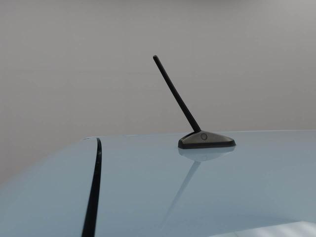 タフトＸ衝突被害軽減ブレーキ　スカイフィールトップ　コーナーセンサー　車線逸脱警報　キーフリー　電動パーキングブレーキ（愛知県）の中古車