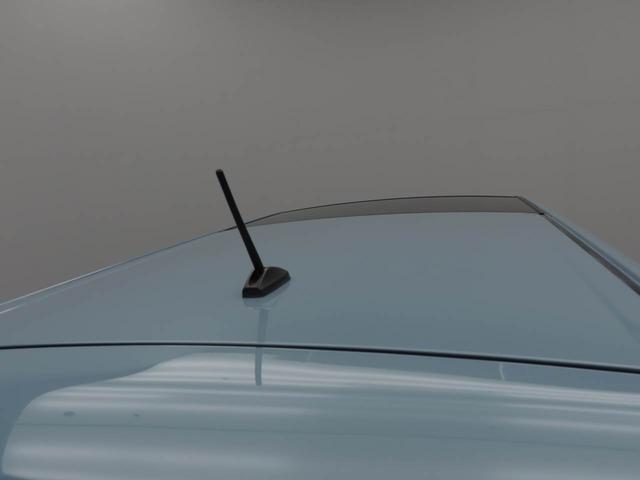 タフトＸ衝突被害軽減ブレーキ　スカイフィールトップ　コーナーセンサー　車線逸脱警報　キーフリー　電動パーキングブレーキ（愛知県）の中古車