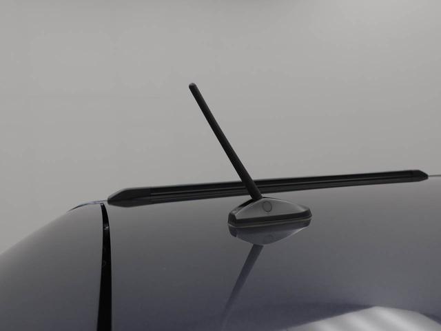 タフトＧターボ　ダーククロムベンチャー（愛知県）の中古車