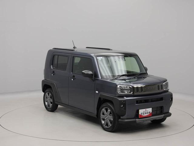 タフトＧターボ　ダーククロムベンチャー（愛知県）の中古車