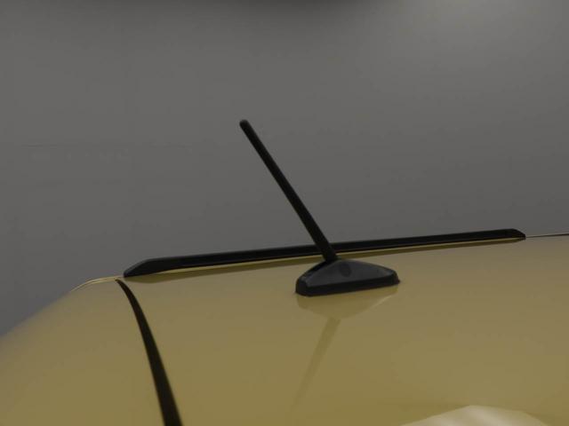 タフトＧ（愛知県）の中古車