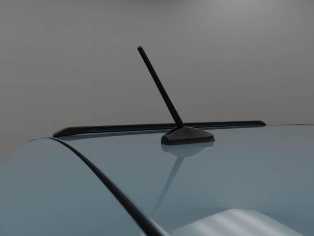 タフトＧターボ　クロムベンチャーエアコン　パワステ　パワーウィンドウ　ＡＢＳ　エアバック　アルミホイール　サンルーフ　キーフリー　電動ドアミラー　バックカメラ（愛知県）の中古車