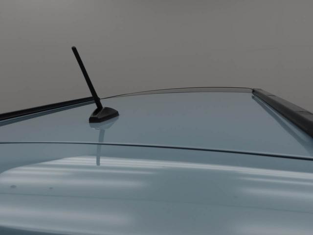 タフトＧターボ　クロムベンチャーエアコン　パワステ　パワーウィンドウ　ＡＢＳ　エアバック　アルミホイール　サンルーフ　キーフリー　電動ドアミラー　バックカメラ（愛知県）の中古車