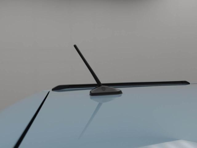 タフトG(愛知県)の中古車